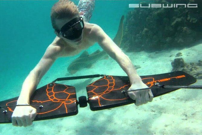 Private Speed Boat & Swim With Dolphins & Water Sports-hurghada - What to Expect From This Hurghada Water Tour