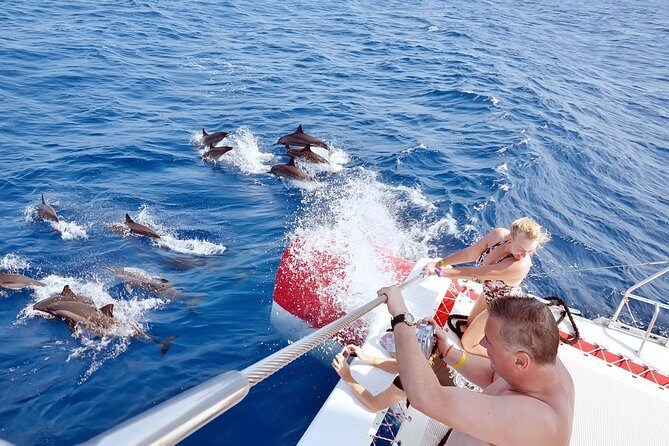 Private Speed Boat to DOLPHINS House & Water activities -HURGHADA - An Insider Look at the Tour Experience