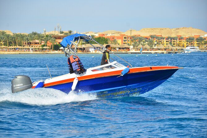 Private Speed Boat to DOLPHINS House & Water activities -HURGHADA - What Reviewers Loved Most
