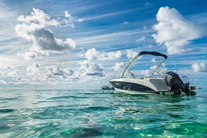 Private speed boat to Ile aux Cerfs full-day Incl: Lunch & Transfer - Who Would Love This Tour?