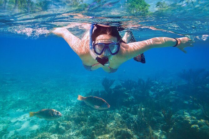 Private speed boat to Ile aux Cerfs full-day Incl: Lunch & Transfer - FAQ