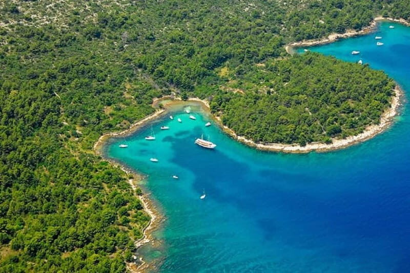 Private speedboat adventure to Zadar Islands with drinks - Key Points
