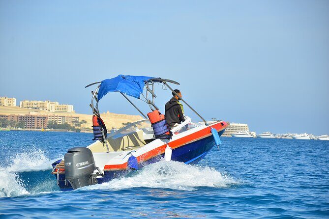 Private Speedboat Excursion Dolphin House Discovery - Hurghada - A Close Look at the Private Speedboat Excursion to Dolphin House in Hurghada