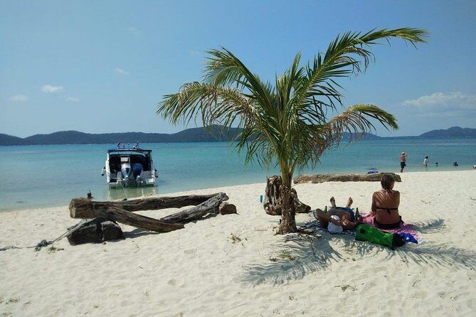 Private Speedboat Koh Tan & Pig Island Snorkeling from Samui - An In-Depth Look at the Tour