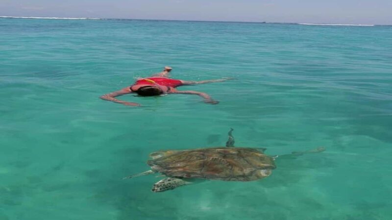 Private Speedboat to Bernache Island & Mauritius Mangroves - Practical Details & What to Expect