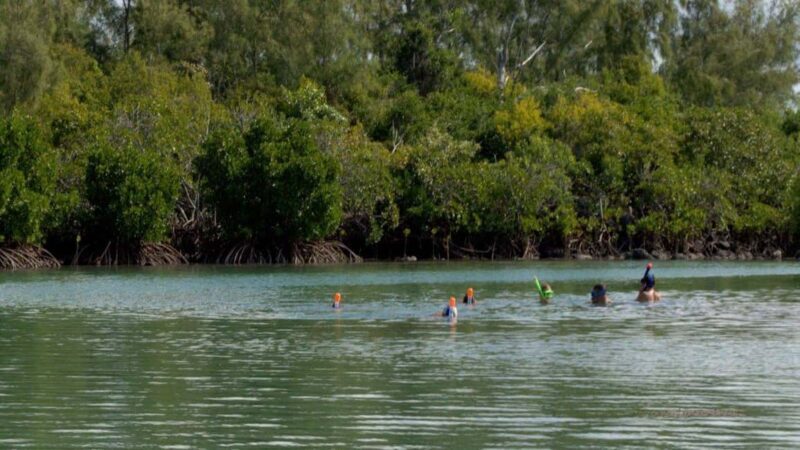 Private Speedboat to Bernache Island & Mauritius Mangroves - FAQ