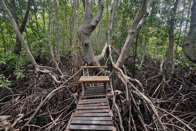Private Speedboat tour to Koh Madsum (Pig Island) & Koh Tan - Why This Tour Offers Good Value