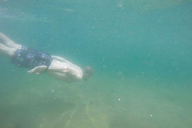 private-speedboat-tour-with-blue-and-green-lagoons-in-ilha-grande