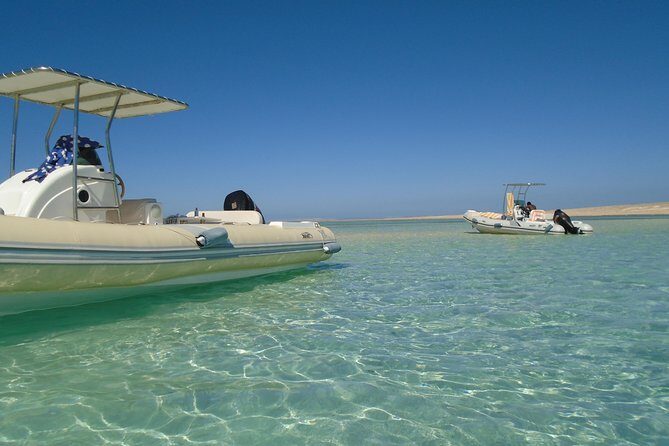 Private Speedboat Trip In Hurghada - Authentic Insights from Travelers