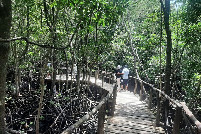 Private Spice Tour and Jozani Forest in Zanzibar - Key Points  