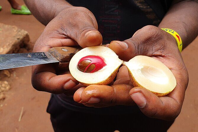Private Spice Tour in Zanzibar with Pick Up - The Sum Up: Is the Zanzibar Spice Tour for You?