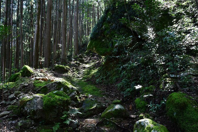 private-spiritual-hike-in-hidakamura-with-mountain-monk