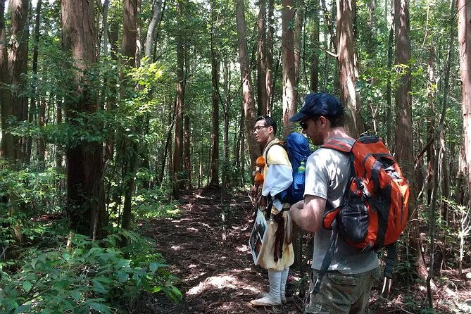 private-spiritual-hike-in-hidakamura-with-mountain-monk