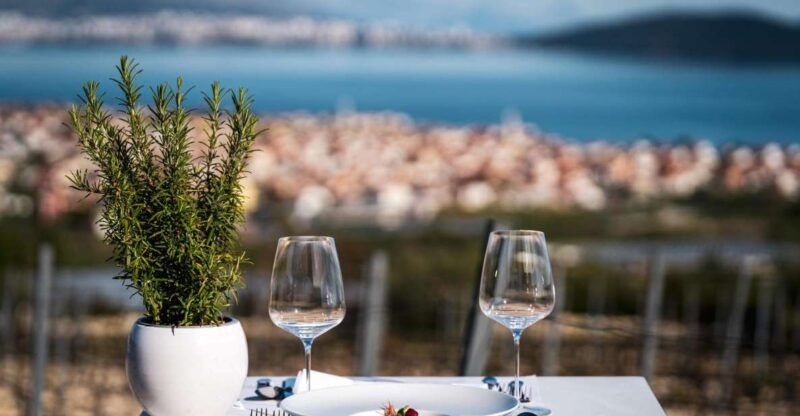 private-split-trogir-wine-tasting-vineyard-with-sea-view-5