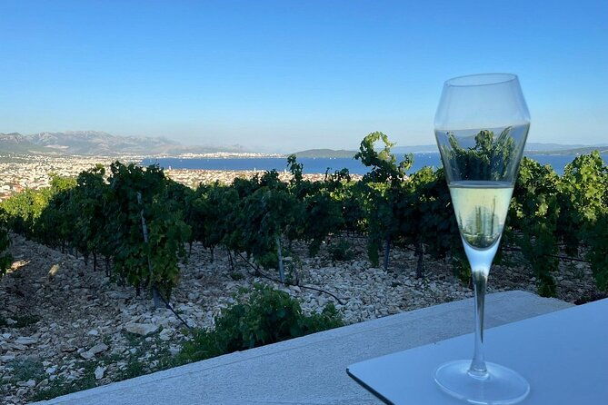 private-split-trogir-wine-tasting-vineyard-with-sea-view
