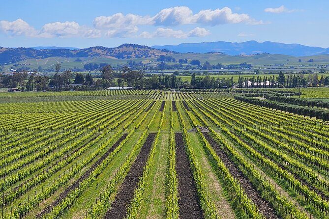 Private Sprinter Tour of Napa Valley - Key Points