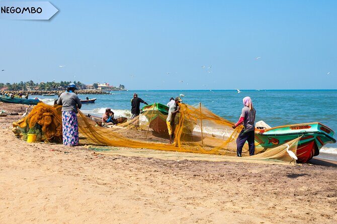 Private Sri Lanka Multi Day Tour - The Full Breakdown of the Tour