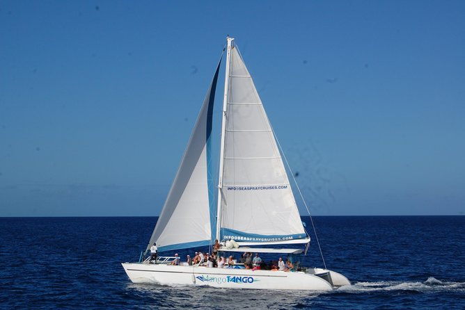 private-st-lucia-full-day-snorkeling-charter-for-up-to-15-guests