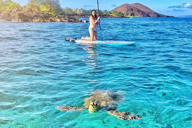 Private Stand Up Paddle Boarding Tour in Turtle Town, Maui - Practical Tips for Your Paddleboard Adventure
