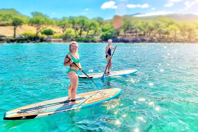 Private Stand Up Paddle Boarding Tour in Turtle Town, Maui - Who Would Love This Tour?