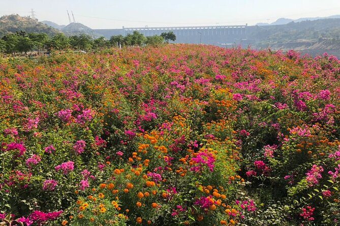 Private Statue of Unity Tour From Ahmedabad - FAQs