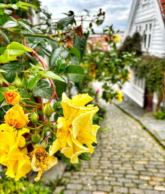 private-stavanger-guided-city-tour