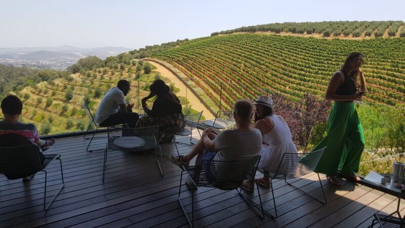 Private Stellenbosch and Franschhoek Wine Tour - Key Points