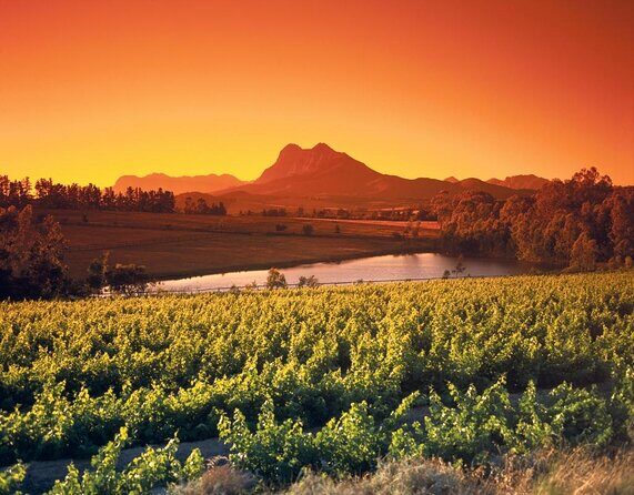 Private Stellenbosch, Franschhoek and Paarl Wine Tour - Key Points  