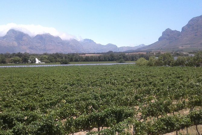 Private Stellenbosch, Franschhoek Paarl Wine Tour from Cape Town - Why Choose This Tour?