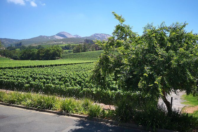 Private Stellenbosch, Franschhoek Paarl Wine Tour from Cape Town - The Itinerary Breakdown