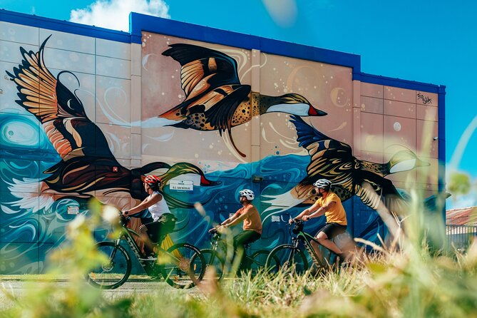 private-street-art-murals-and-coastal-san-nicolas-e-bike-aruba