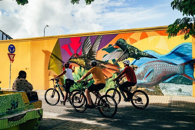 private-street-art-murals-and-coastal-san-nicolas-e-bike-aruba