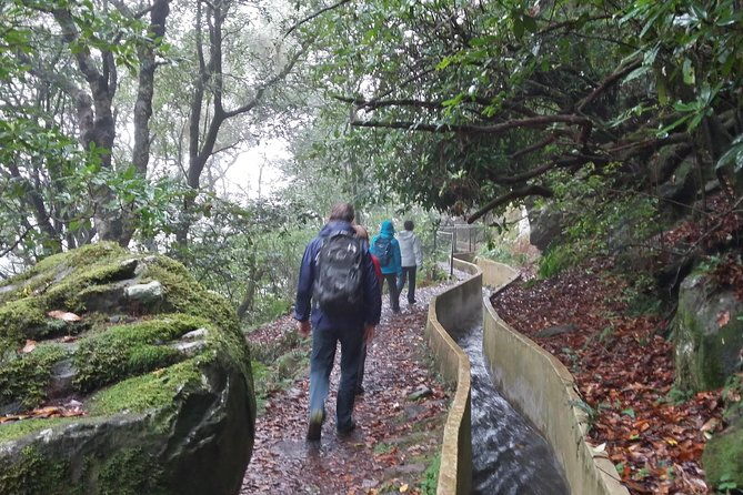 private-sunrise-guided-hike-on-pico-do-areeiro-or-other-custom