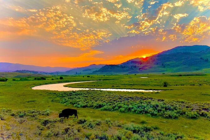 private-sunrise-wildlife-adventure-into-yellowstone-lamar-valley