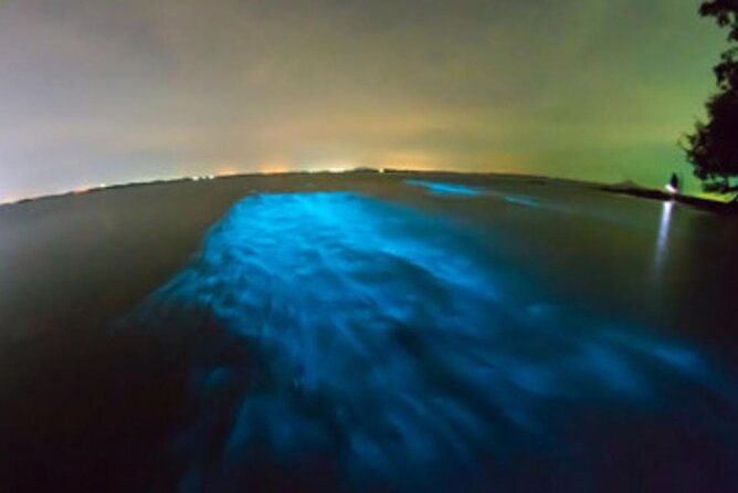 private-sunset-and-bioluminescence-tours-in-cocoa-beach