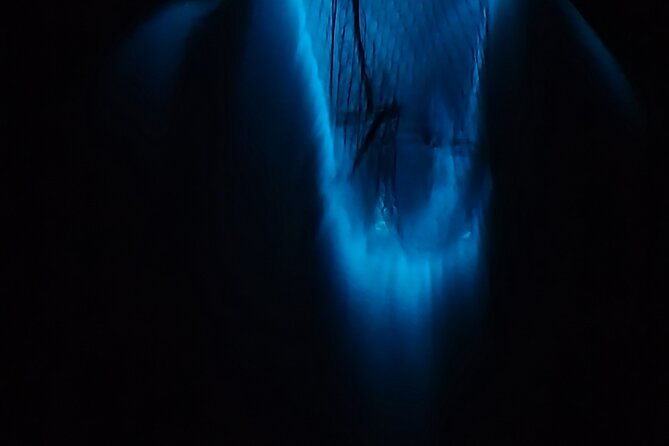 private-sunset-and-bioluminescence-tours-in-cocoa-beach
