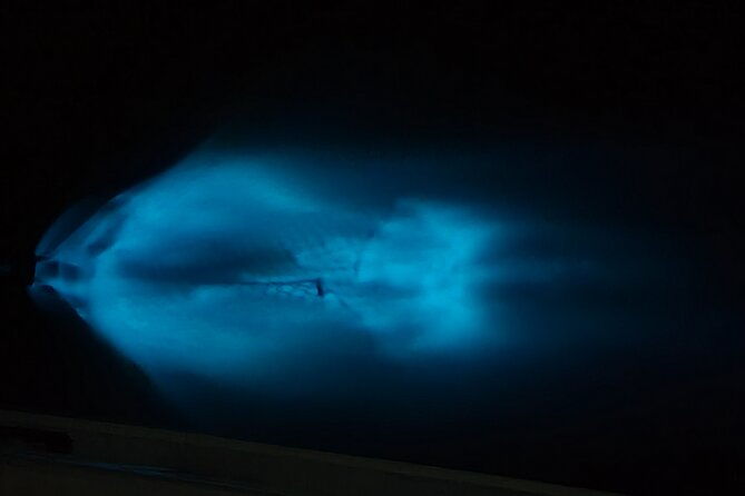 private-sunset-and-bioluminescence-tours-in-cocoa-beach