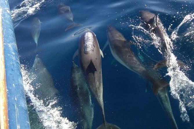 private-sunset-cruise