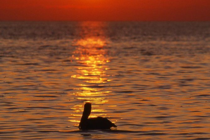 private-sunset-cruise-south-padre-island