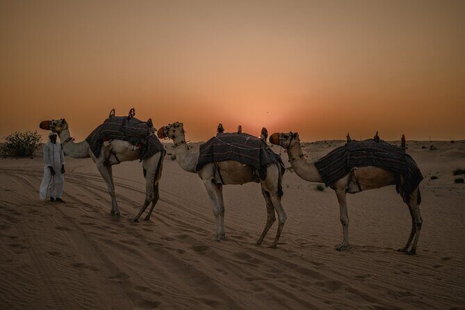 Private Sunset Desert Safari:SandSurfing, Camel Ride & BBQ dinner - Key Points