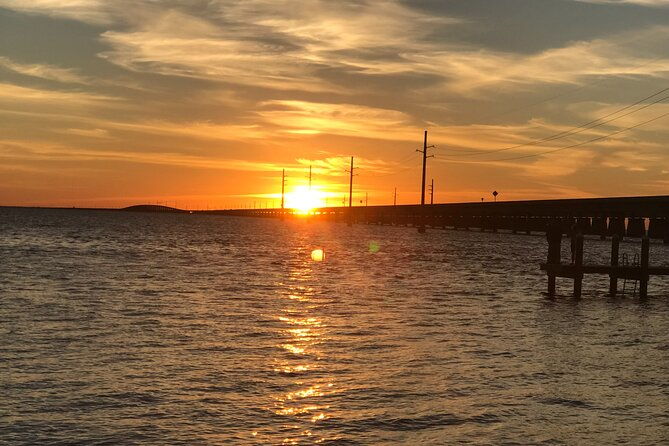 private-sunset-eco-tour-of-marco-10000-islands