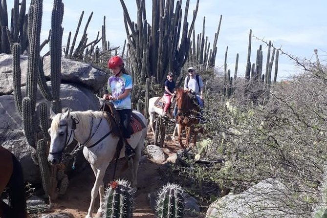 private-sunset-horseback-ride