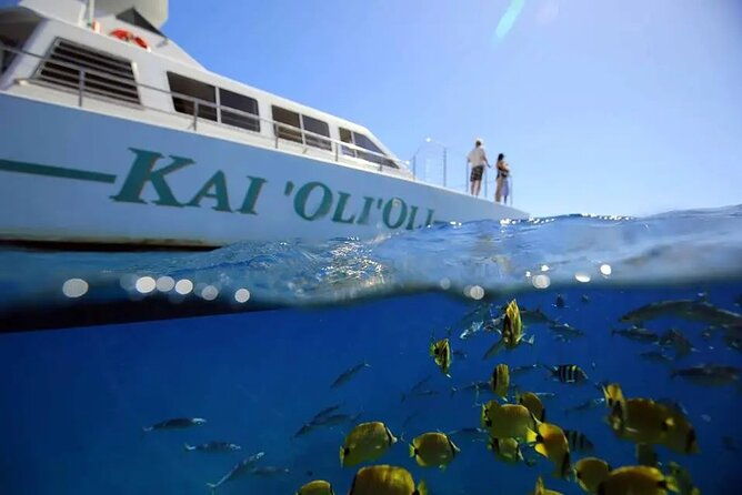 private-sunset-snorkel-and-dinner-cruise-in-oahu-charter