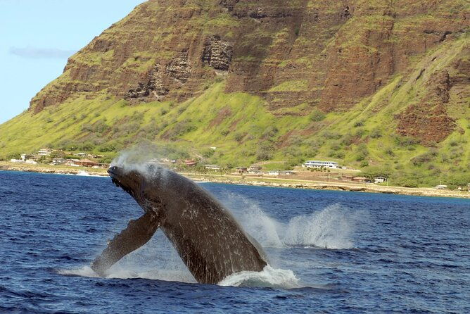 private-sunset-snorkel-and-dinner-cruise-in-oahu-charter