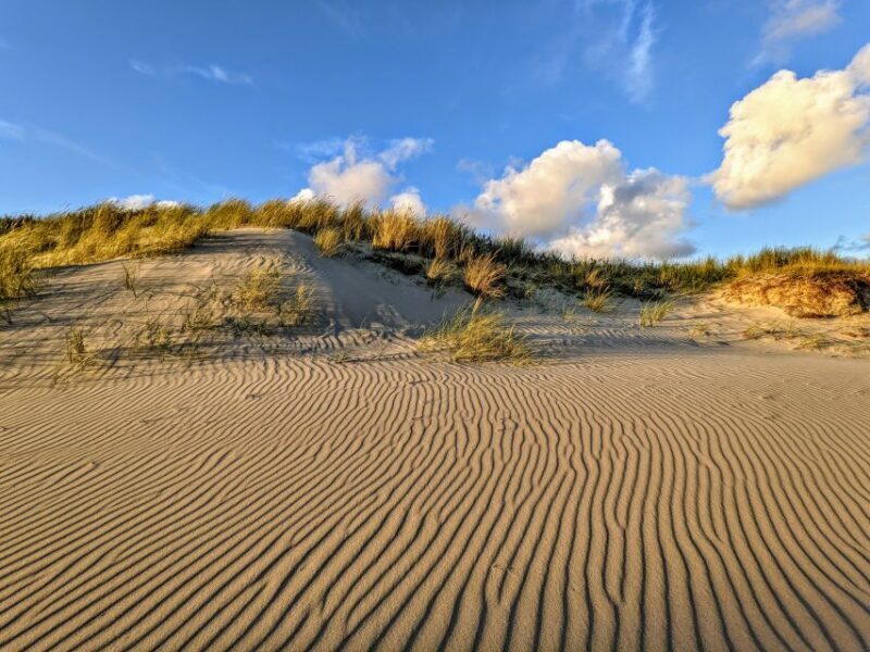 Private Sunset Tour of Issos Sandhills - Practical Tips for Your Sunset Tour