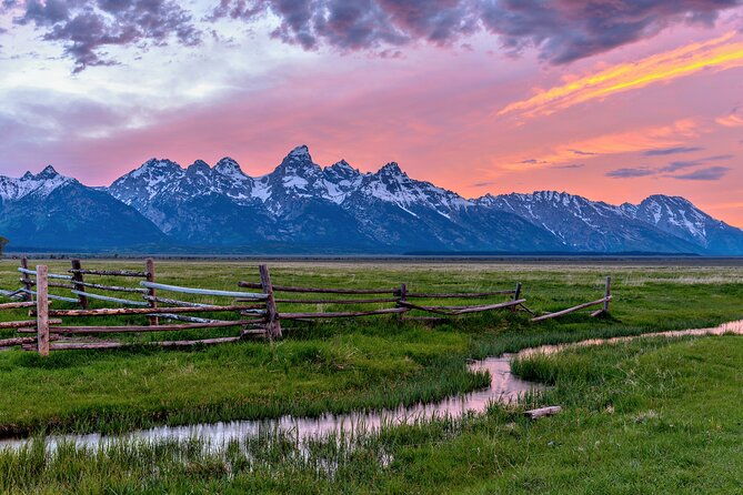 private-sunset-wildlife-dinner-safari-from-jackson-wy