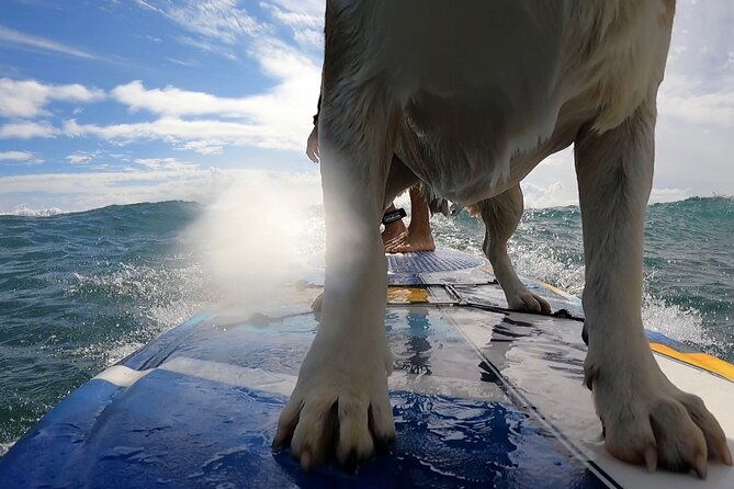 private-surf-lessons-in-maui