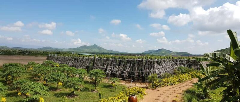 Private SUV Sunset Tour: Bokor National Park - Key Points