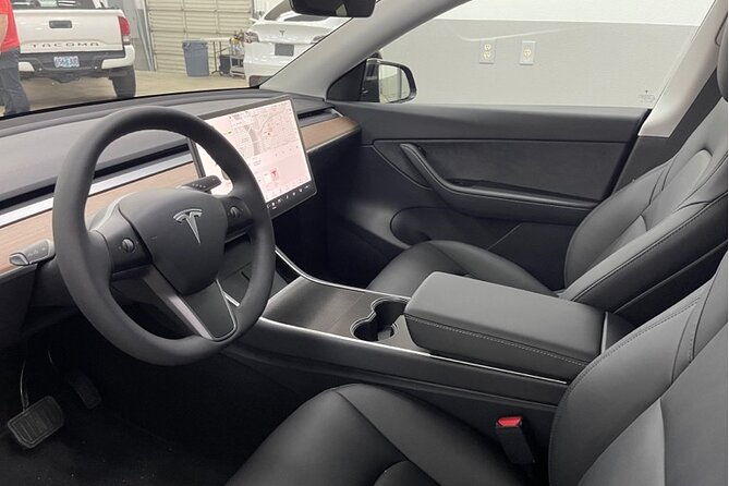 private-suv-tour-by-100-electric-tesla