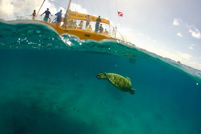 Private Swim and Sail Charter (Kewalo Harbor) - Real Insights from Travelers